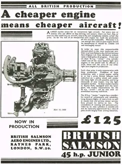 Salmson: British Salmson Cheaper Flying