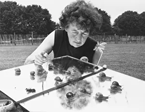 Lythgoe: British snails in training, Folkestone, Kent