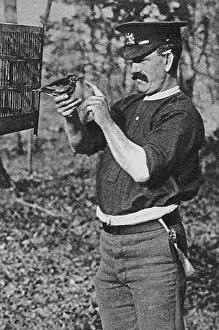 Thrush: A British soldier and his pet thrush