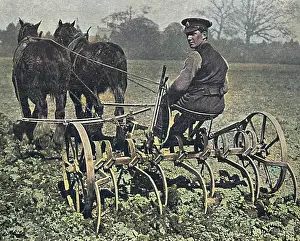 Manpower: British soldier working on the land, WW1