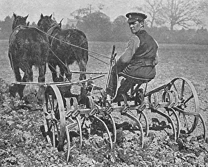 British soldier working on the land, WW1