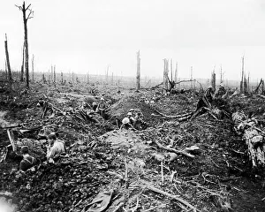 Delville: British soldiers digging a trench, Western Front, WW1
