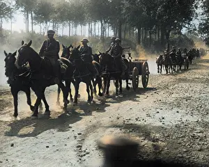 Dusty: British troops coming through a wood, WW1