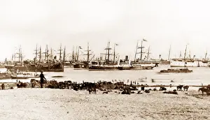 Ismailia: British troops disembarking at Ismailia during