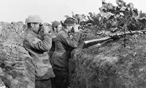 Cabbage: British troops in France 1914