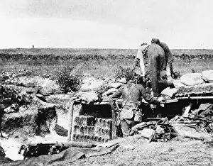Marguerite: British troops in France 1914