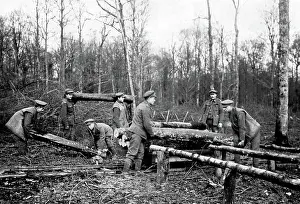 Transferring: British troops transferring logs, Western Front, WW1