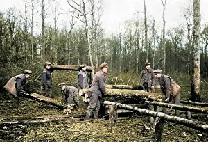 Logs: British troops transferring logs, Western Front, WW1