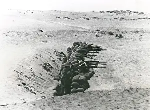 Bayonets: British troops in trench, Brown Ridge, Middle East, WW1