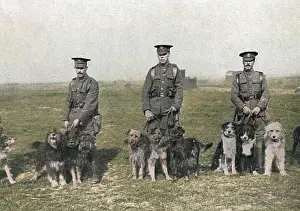 Keepers: British War Dog School