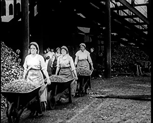 Coke: British Women Wheeling Wheelbarrows Full Of Coal Or Coke