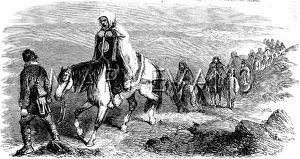 Infested: British Wounded being carried to Balaklava, Crimean War 1855