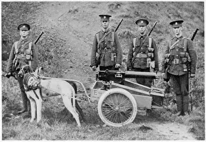 Cheerfully: Britsh Dogs of War - 1915