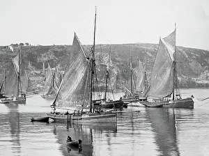 Brixham: Brixham