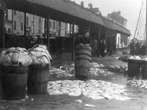 Habour: BRIXHAM FISH MARKET