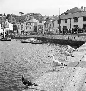 Harbourside: Brixham Harbour, Devon