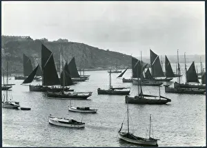 Smack: Brixham Outer Harbour, Brixham, Torbay, Torbay