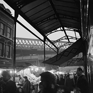 Canopies: Brixton, London