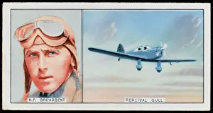 Broadbent: Broadbent - Percival Gull