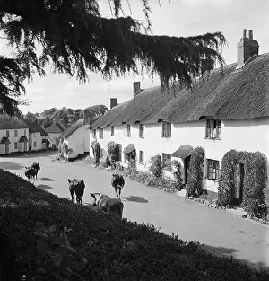 Broadhembury: Broadhembury, East Devon