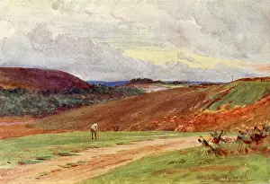 Broadstone: BROADSTONE LINKS