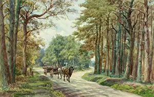 Broadwater: Broadwater Forest, Tunbridge Wells, Kent