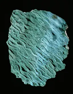 Sulphate: Brochantite