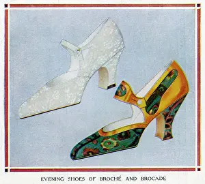 Broche: Broche and Brocade