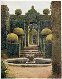 Topiary: In Brockenhurst Park Garden