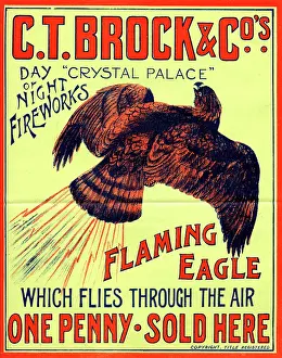 Flaming: Brock's Fireworks