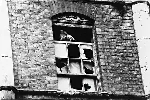 Pane: Broken window with pigeons