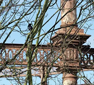 Gasworks: Bromley-by-Bow Gasworks, Bromley-by-Bow, Newham, London