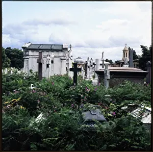 Mesnard: Brompton Cemetery, Old Brompton Road, London