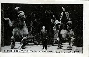 Broncho: Broncho Bill & Circus Elephants