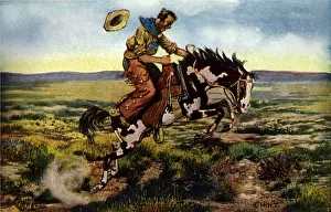 Bronco: Bronco Buster