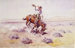 Ranch: Bronco Buster