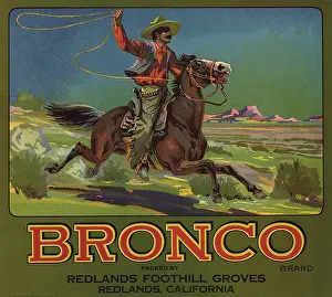 Ranchers: Bronco Cowboy with Lasso on horseback