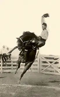 Bronco: Bronco Riding