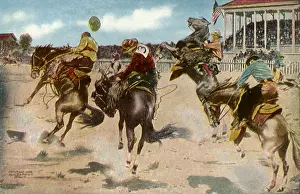 Rodeo: Broncos in Rodeo