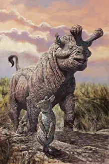 Eocene: Brontops and Palaeolagus rabbit of the Early Miocene Epoch