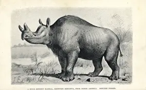 Smit: Brontops robustus