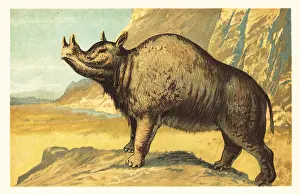F. John: Brontops robustus or Megacerops robustus