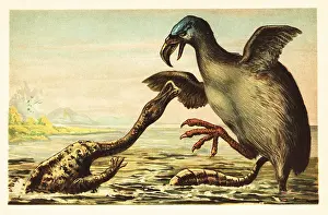 F. John: Brontornis battling a Hadrosaurus
