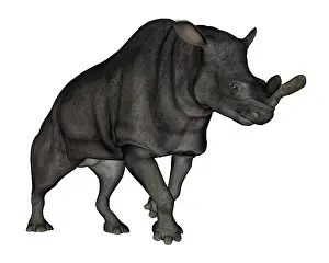 Eocene: Brontotherium isolated on white background