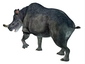 Eocene: Brontotherium mammal, rear view