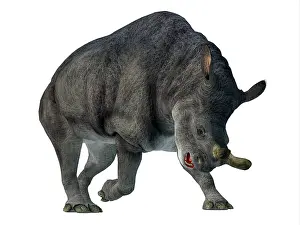 Eocene: Brontotherium mammal, front view