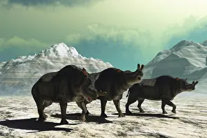 Searching: Three Brontotherium mammals walking through a