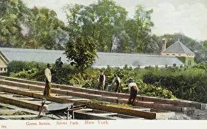 Allotment: Bronx Park, New York