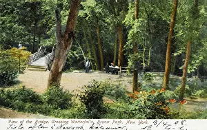 Bronx: Bronx Park, New York