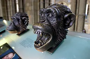 Chimp: Bronze bust of a chimpanzee